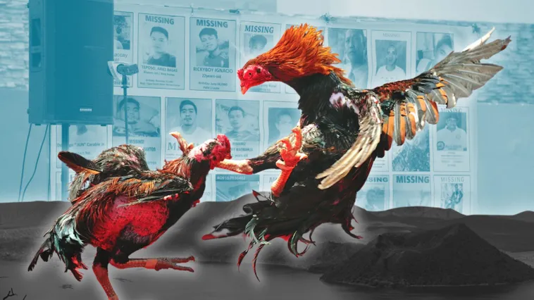 Bí Quyết Chơi Đá Gà Sabong Tại 988Bet Từ Các Cao Thủ Hàng Đầu