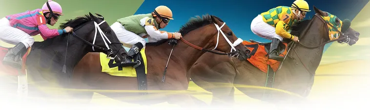 Khám Phá Đua Ngựa 988Bet Chinh Phục Mọi Đường Đua Kịch Tính 1 Khám Phá Đua Ngựa 988Bet Chinh Phục Mọi Đường Đua Kịch Tính